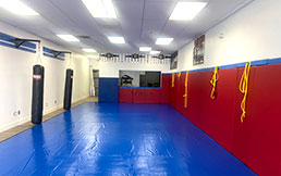 MMA Mat Cover